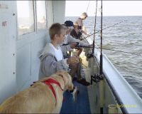 lewes delaware party boat fishing 31 20200405